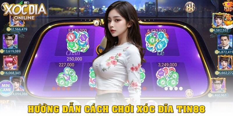 Hướng dẫn cách chơi Xóc Đĩa tin88 cho người mới